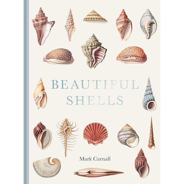 Shells / Muscheln / Coquillages: Conchology, or The Natural